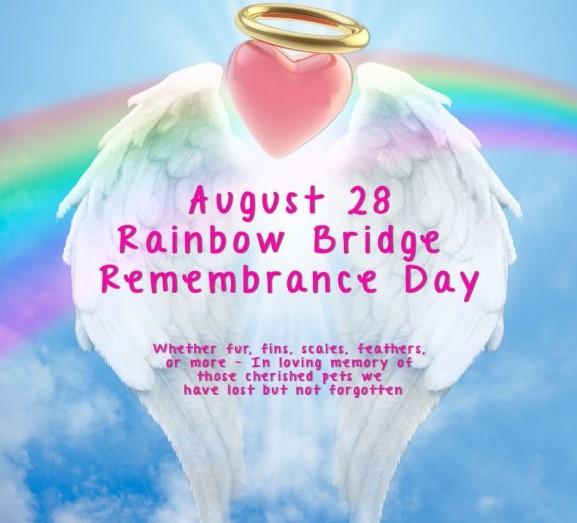 Happy National Rainbow Bridge Remembrance Day 2019