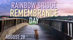 Happy National Rainbow Bridge Remembrance Day