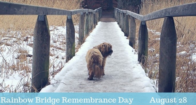 National Rainbow Bridge Remembrance Day