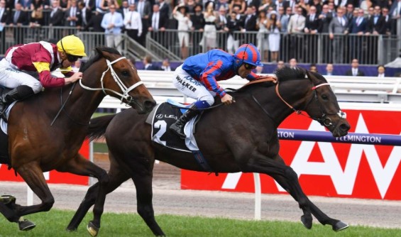 Geelong Cup Day 2019