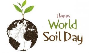 World Soil Day 2019