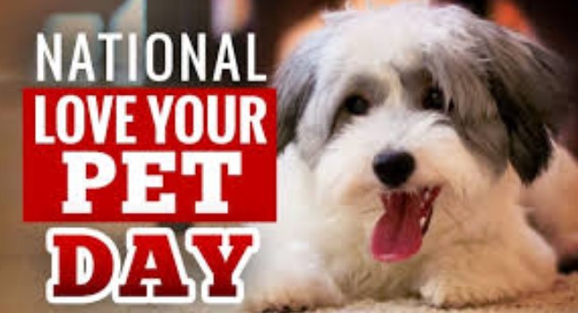 National Pet Day - April 11 National Pet Day 2020 ...