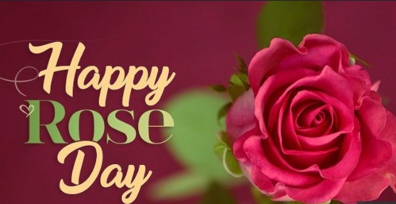 National Rose Day 2020