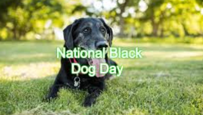 National Black Dog Day 2020