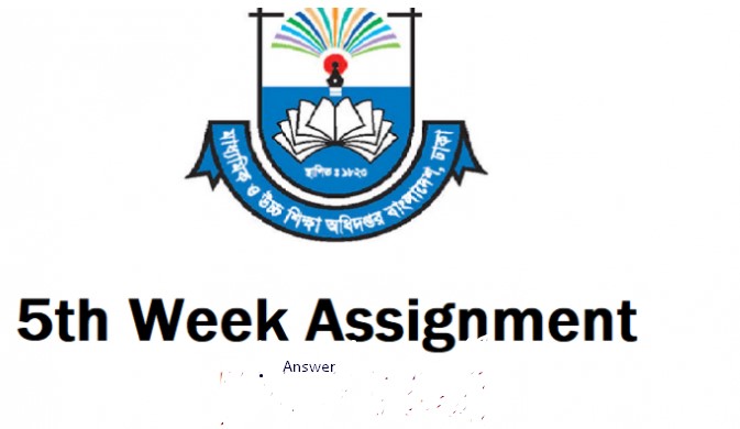 5th Week Assignment