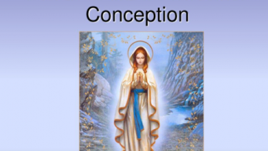Happy Feast of the Immaculate Conception 2021