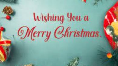 Merry Christmas Wishes