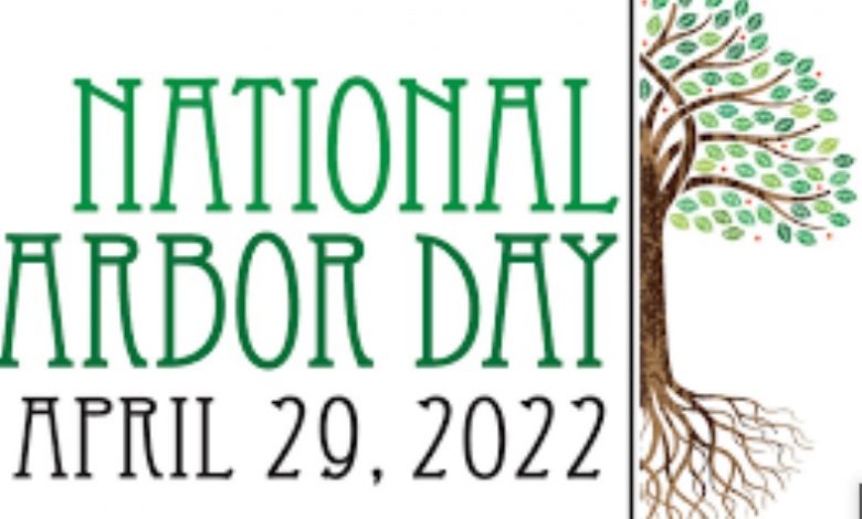 Best National Arbor Day 2022