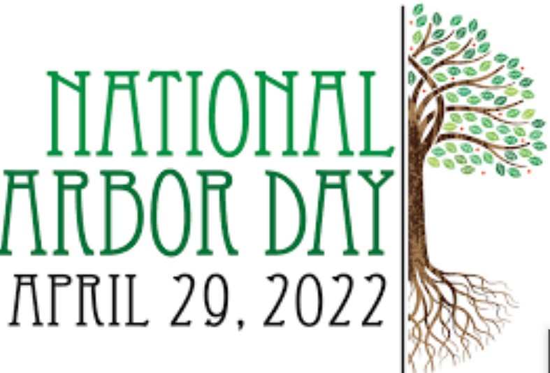Best National Arbor Day 2022