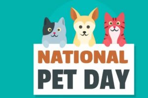 National Pet Day 2022
