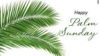 Palm Sunday IMages