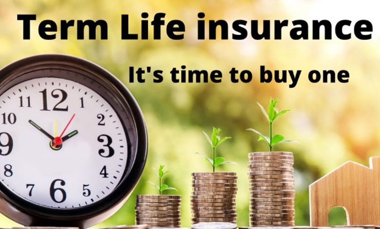 Average term life insurance