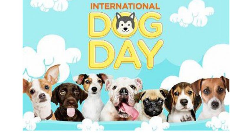 Happy International Dog Day 2022