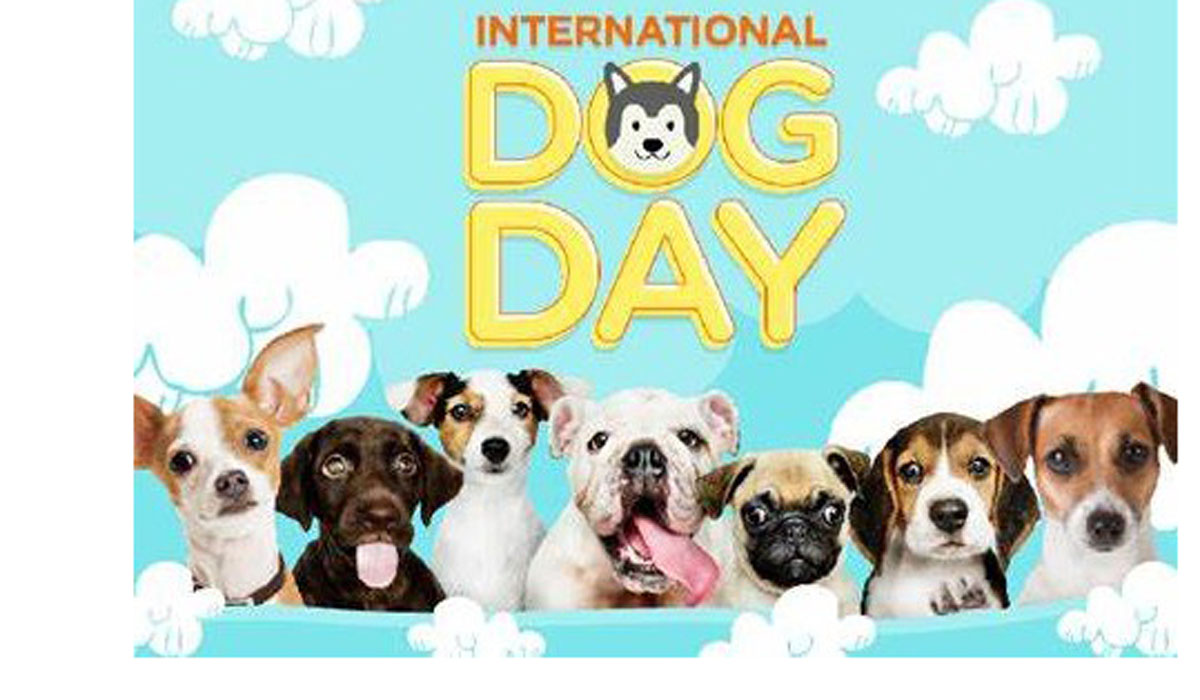 Happy International Dog Day 2022