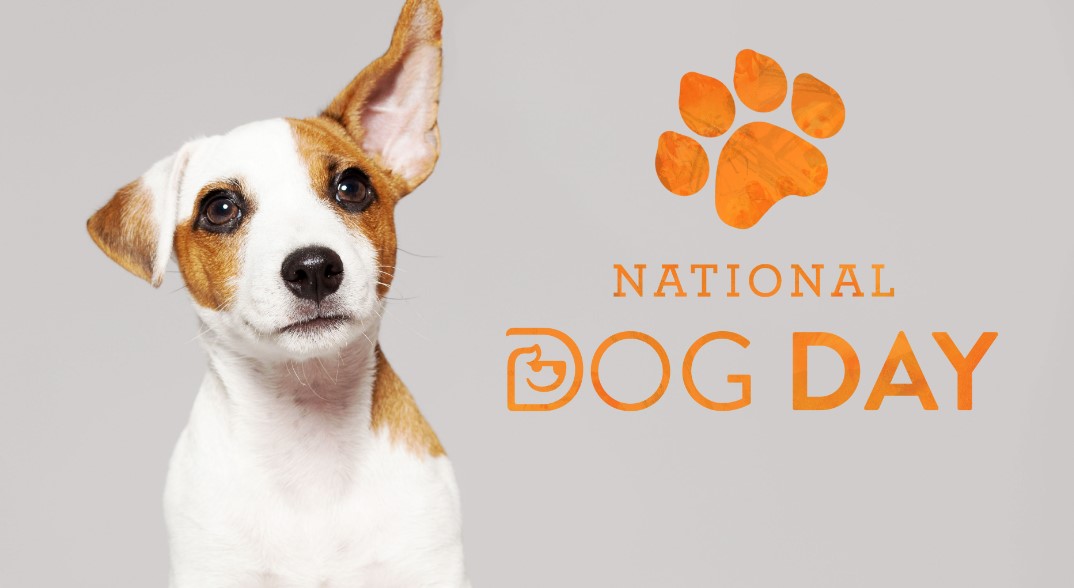 National Dog Day 2022 History, Significance, Celebrations, and Facts