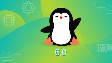 Linux 6.0