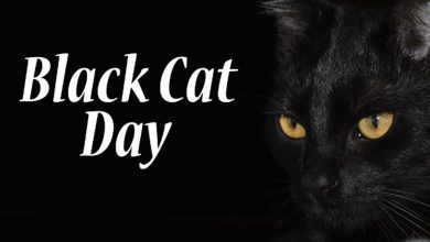 National Black Cat Day