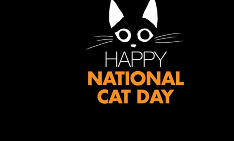National Cat Day 2022 UK