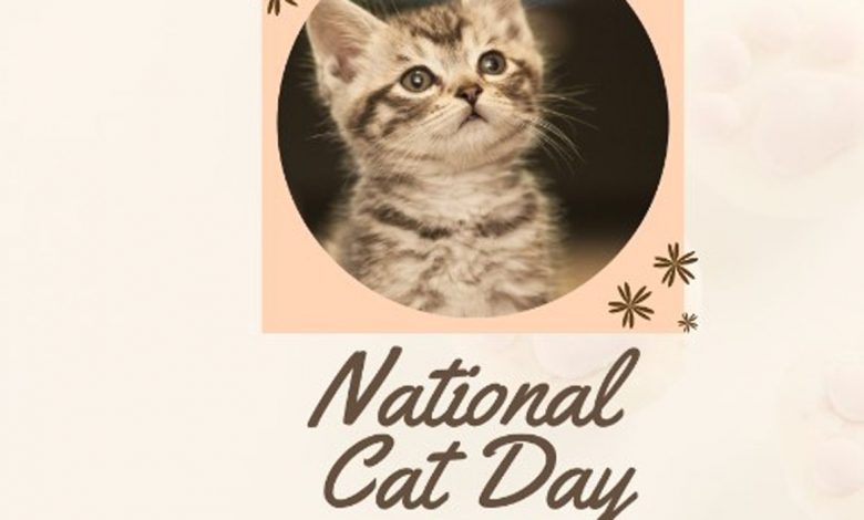 National Cat Day 2022 USA