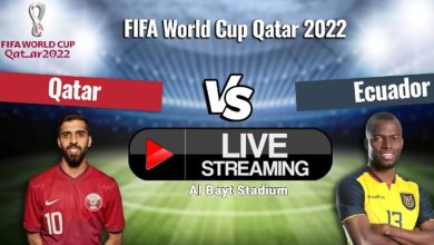Live Streaming Fifa World Cup 2022