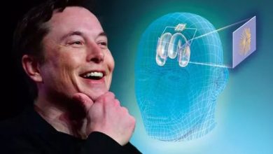 Elon Musk Brain Chip Neuralink Startup