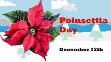 Poinsettia Day 2022