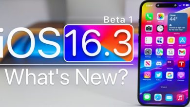 iOS 16.3 Beta