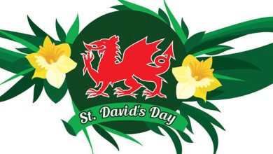 David's Day