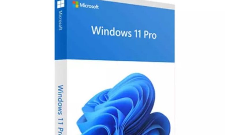 2023 Windows 11 Pro