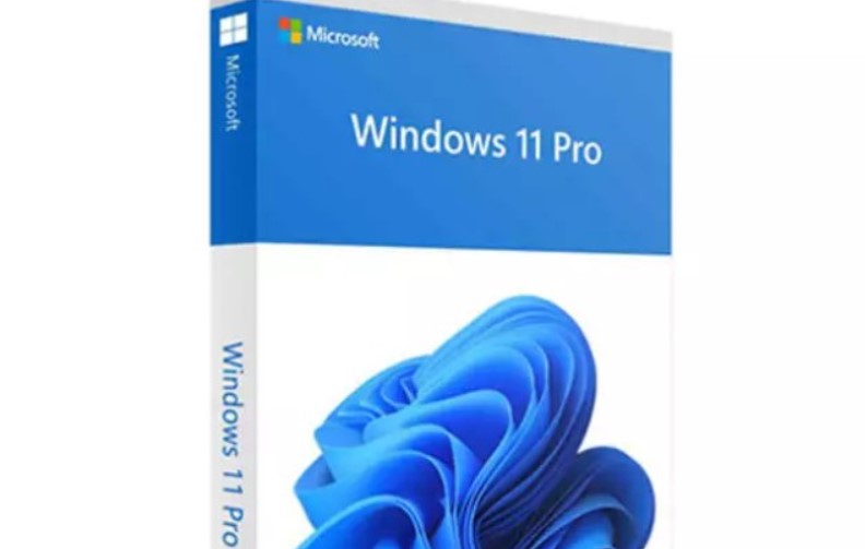 2023 Windows 11 Pro