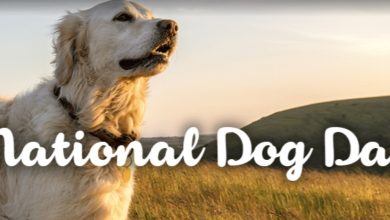 US National Dog Day 2023