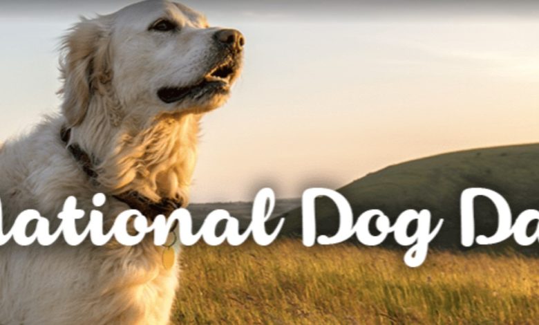 US National Dog Day 2023