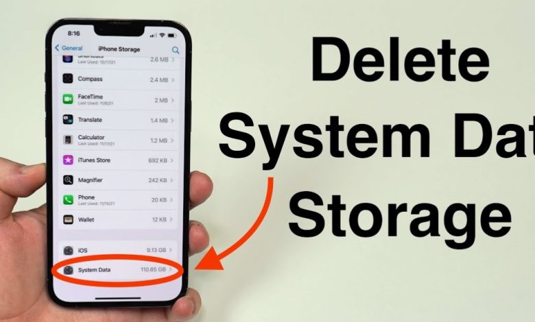 iPhone System Data