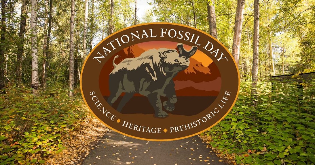 National Fossil Day 2024